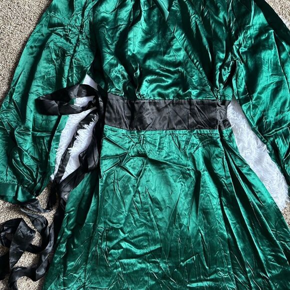 Donna Ricco Silk Dress Green Belted New Wicked Witch Evening Womens Size 20W - Picture 9 of 11
